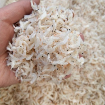 虾皮