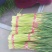 邳州红帽蒜薹，改把加工，入库