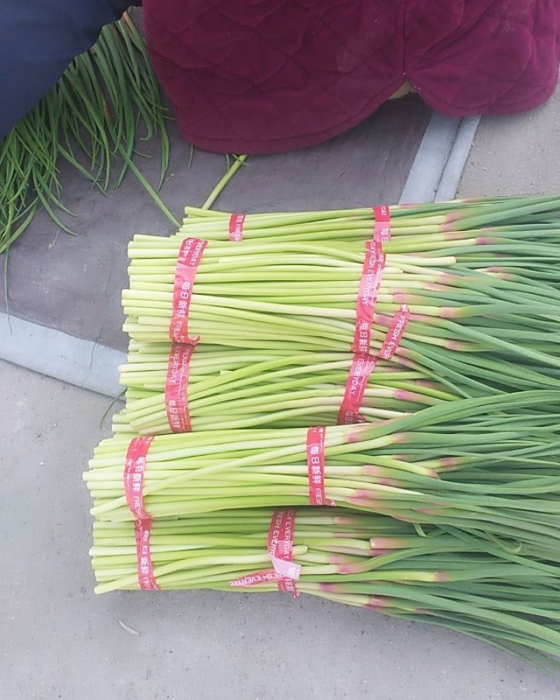邳州红帽蒜薹，改把加工，入库