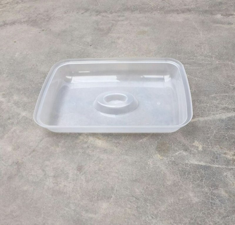 多功能育苗盆绿色豆芽盆芽苗菜育苗盘无土载培芽苗盘