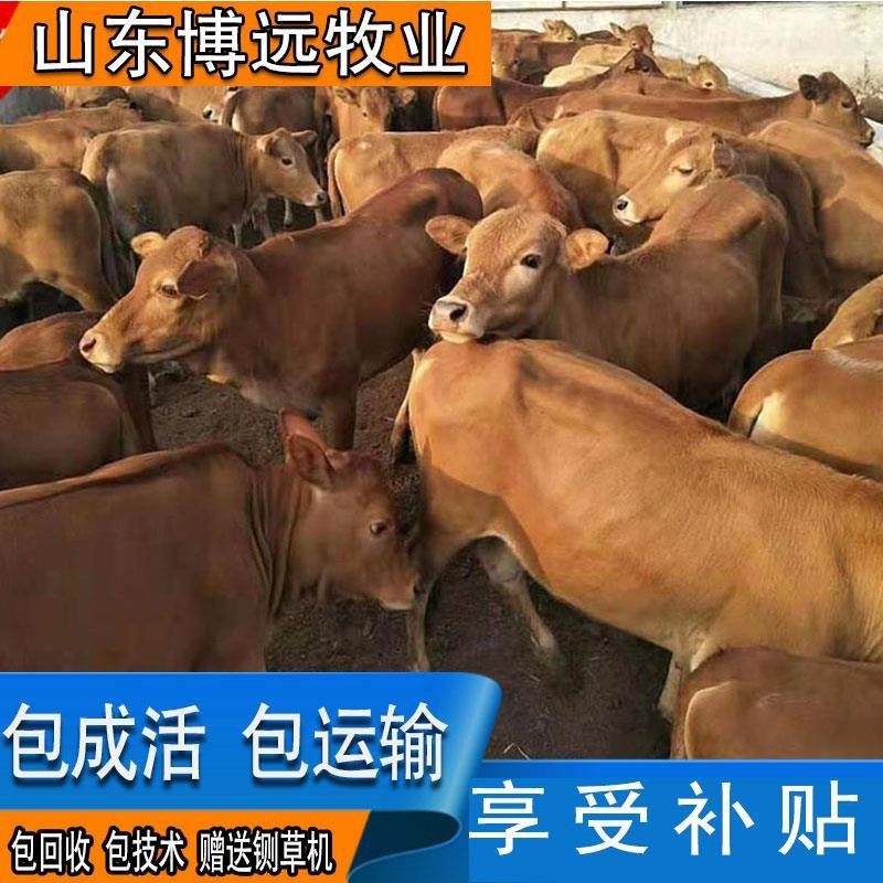 黄牛包运输常年大量出售量大从优包回收包技术
