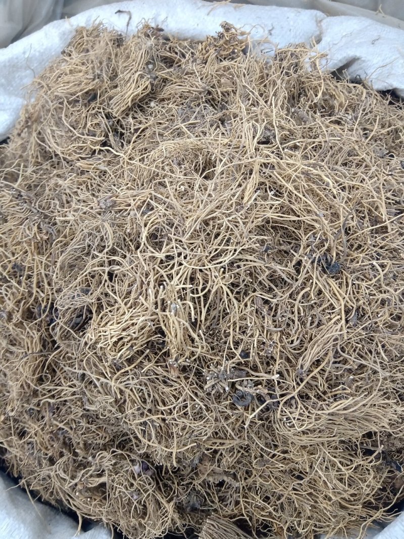 细辛1公斤起批不包邮量大电仪