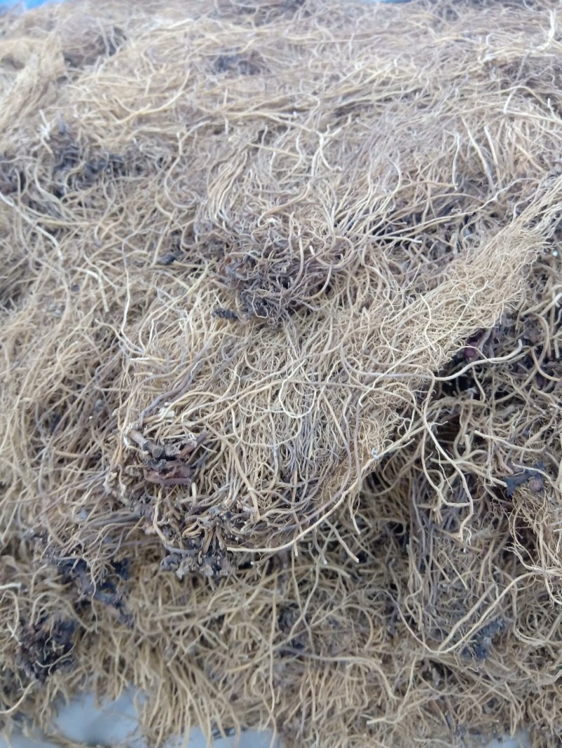细辛1公斤起批不包邮量大电仪