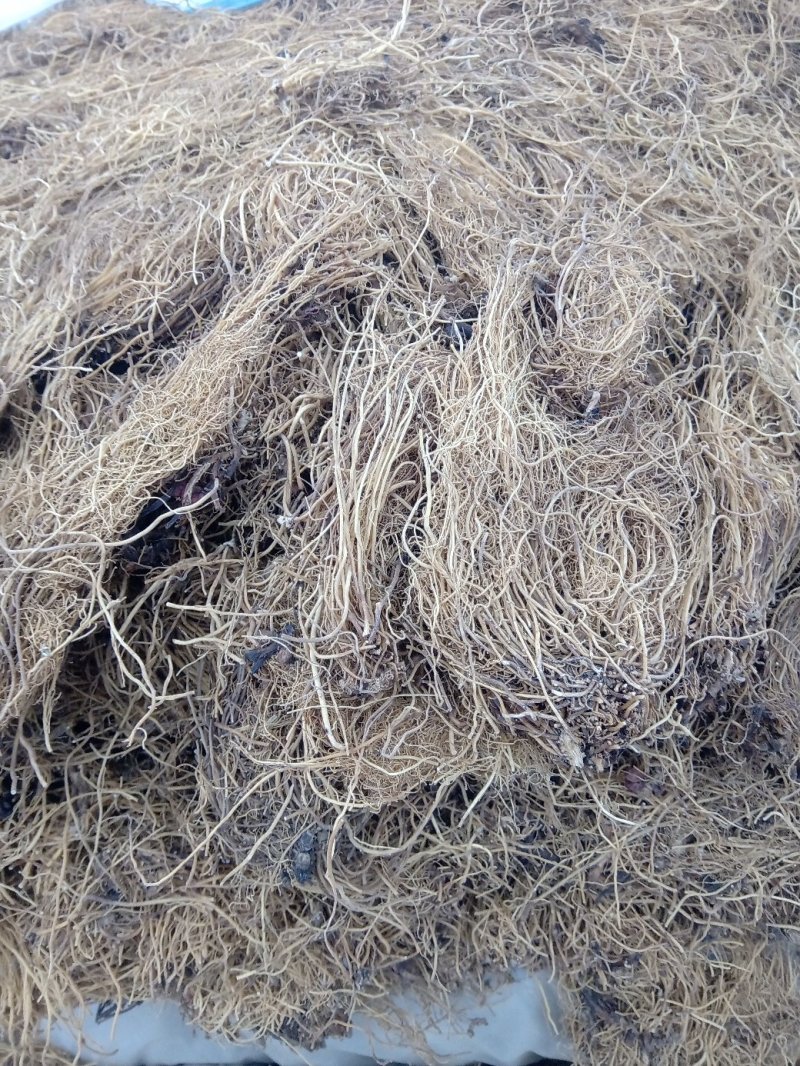 细辛1公斤起批不包邮量大电仪