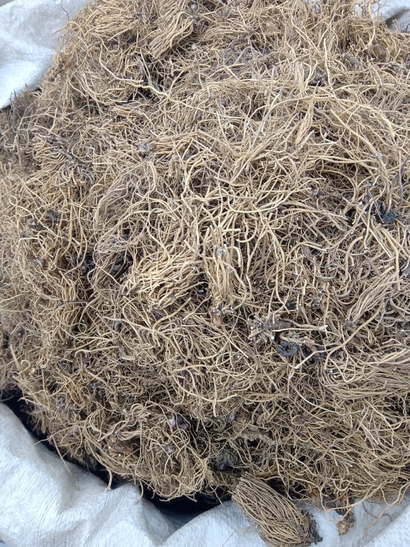 细辛1公斤起批不包邮量大电仪