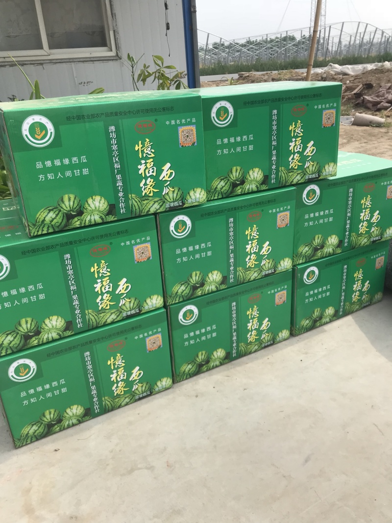 精品红玉小型吊西瓜