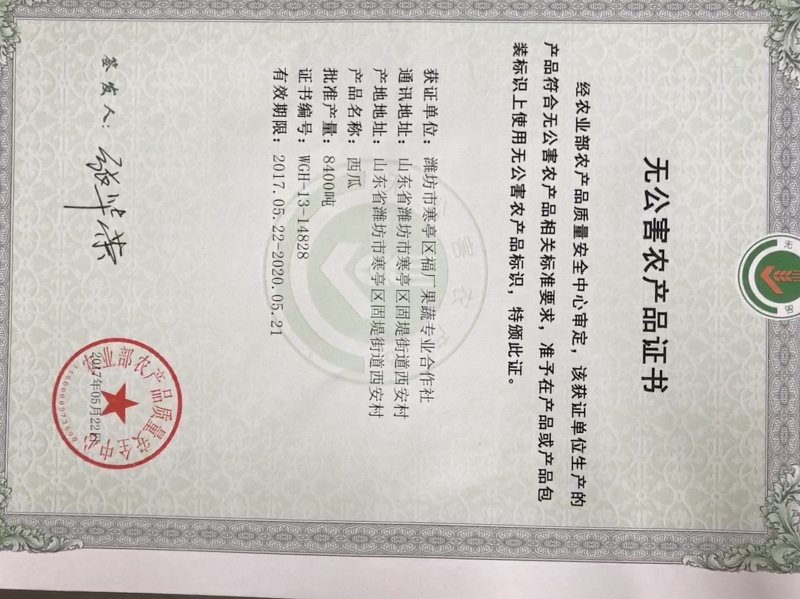 精品红玉小型吊西瓜