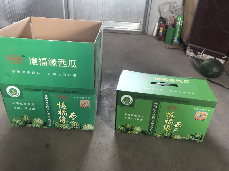 精品红玉小型吊西瓜