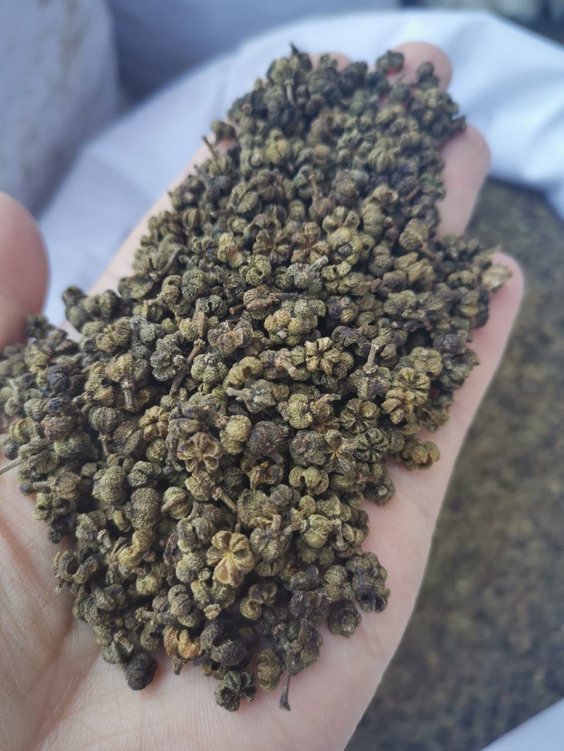 吴茱萸江西中粒高含量规格齐全24小时发货