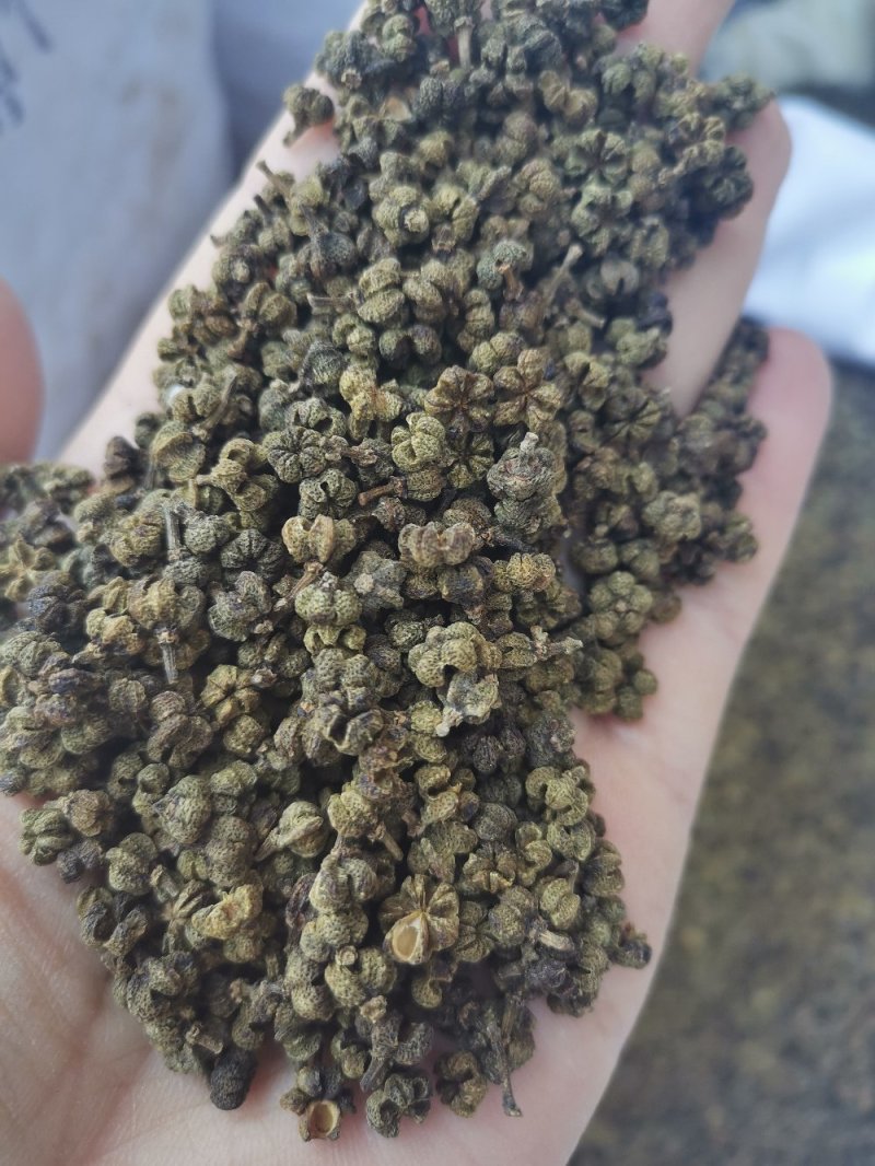 吴茱萸江西中粒高含量规格齐全24小时发货