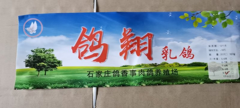 冰鲜，冷冻乳鸽鸽子肉(土鸽子)现杀白条乳鸽