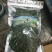 干人参花东北参花6年大花新货吉林人参批发人参花