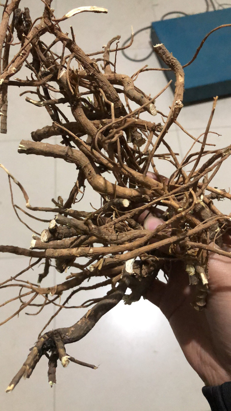 柴胡，竹叶柴胡，各类产地柴胡