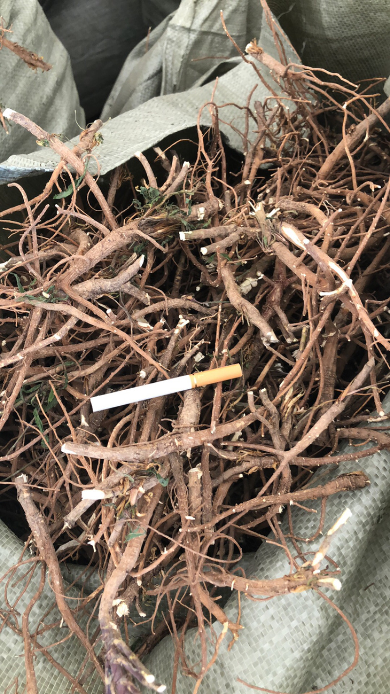 柴胡，竹叶柴胡，各类产地柴胡