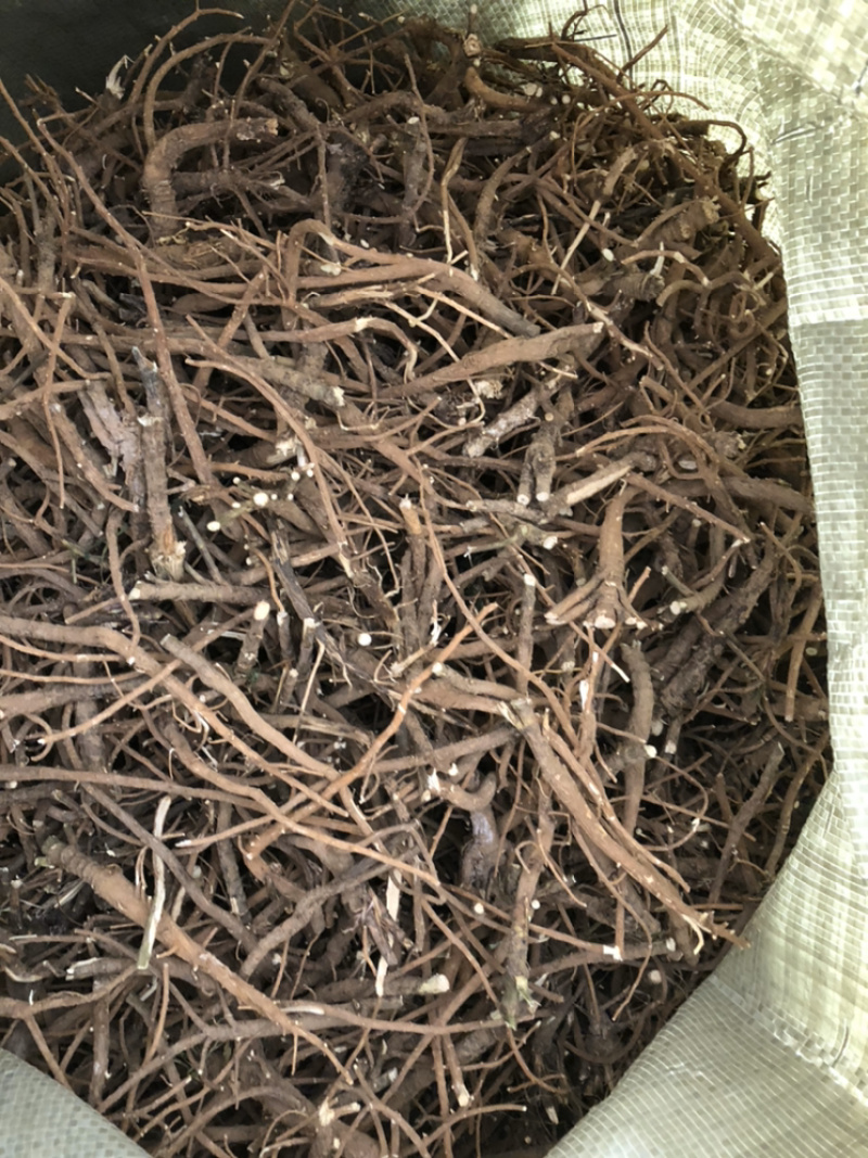 柴胡，竹叶柴胡，各类产地柴胡
