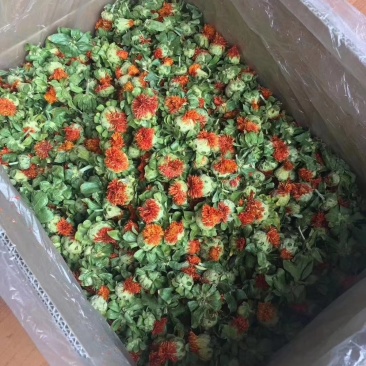 红花果精品成朵红花朵红光果特级养生花茶红花果