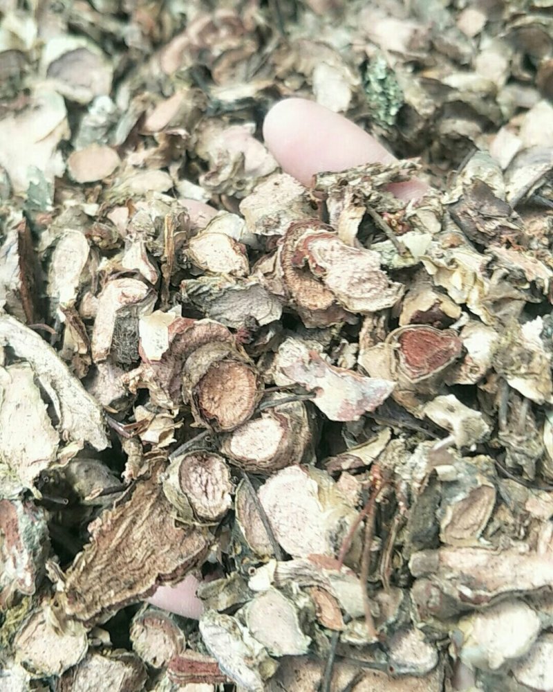 红景天，常年批发供应红景天，中药材