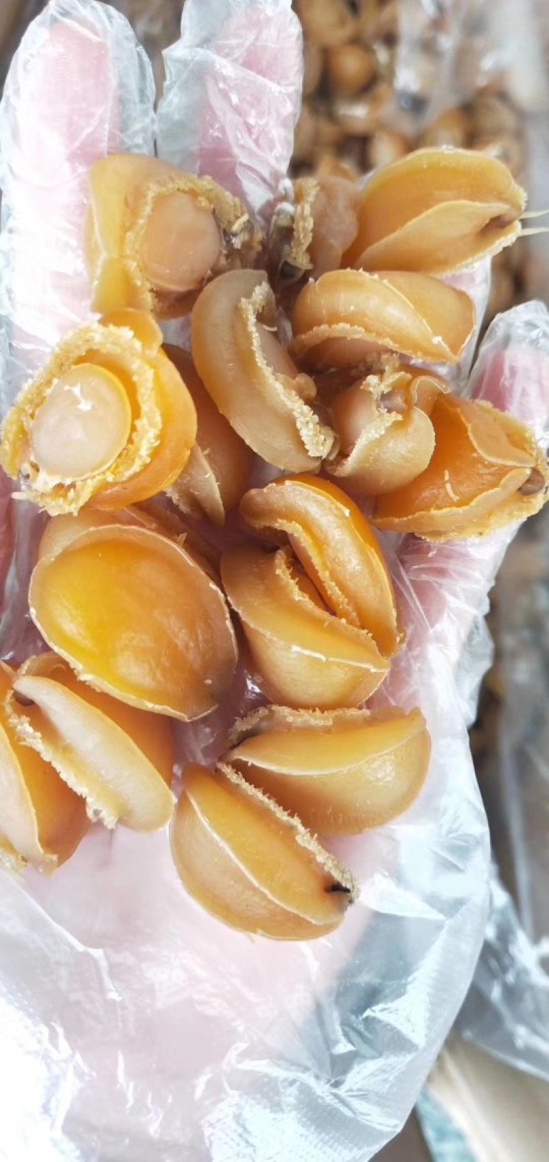鲍鱼干新鲜鲍鱼干货250克50头新鲜活大鲍鱼制成大鲍鱼干