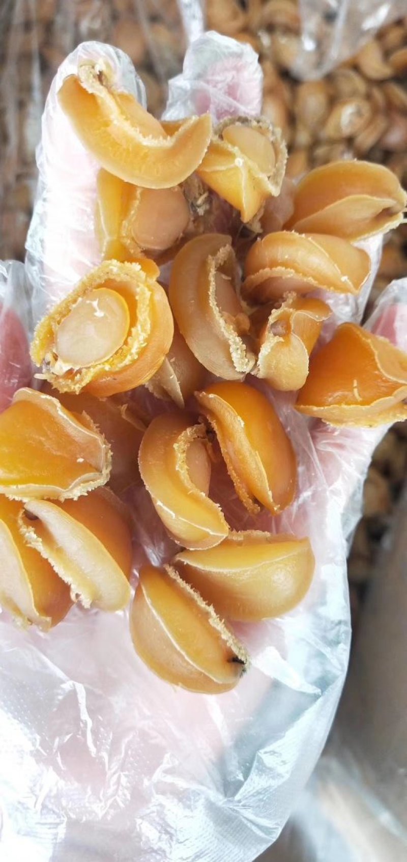 鲍鱼干新鲜鲍鱼干货250克50头新鲜活大鲍鱼制成大鲍鱼干