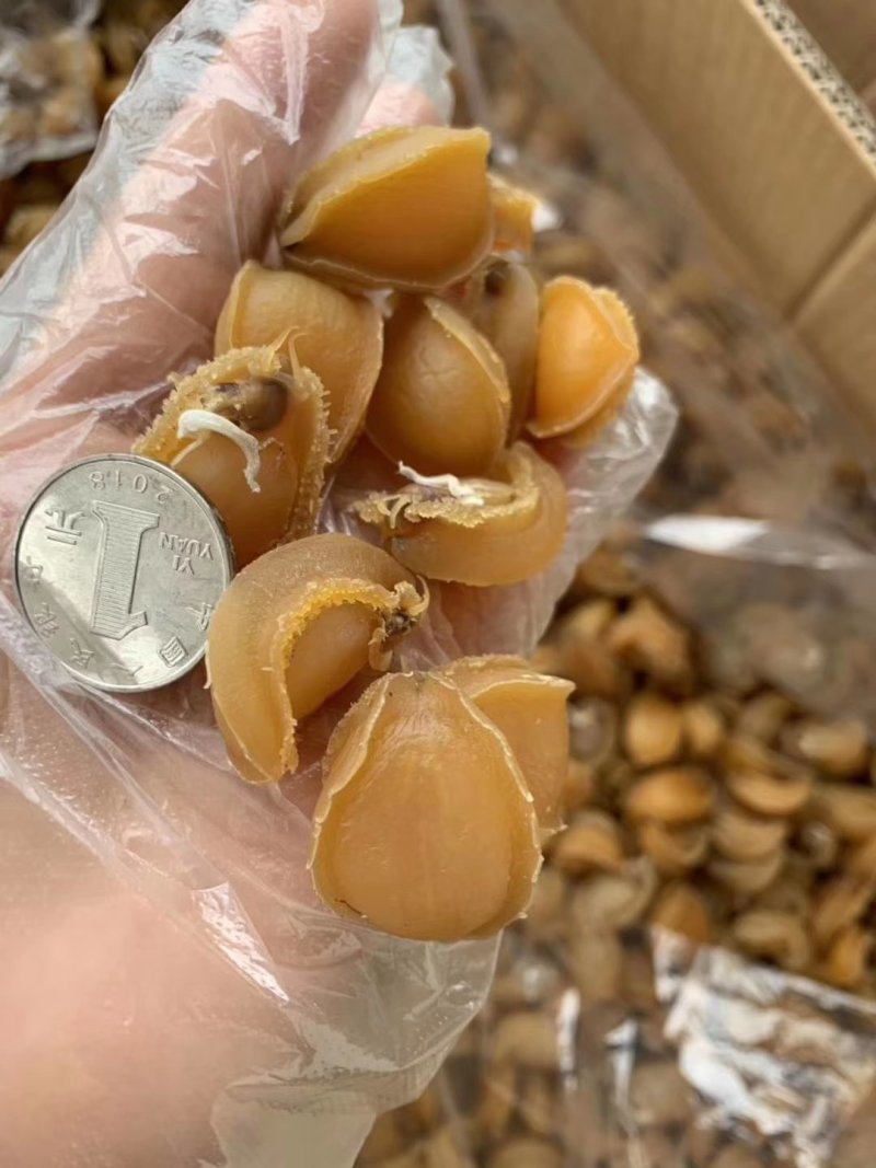 鲍鱼干新鲜鲍鱼干货250克50头新鲜活大鲍鱼制成大鲍鱼干