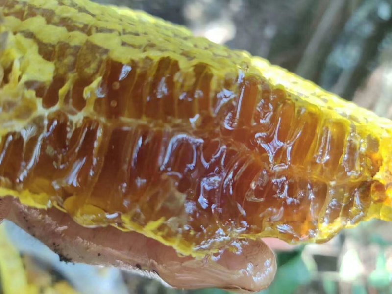 蜂蜜