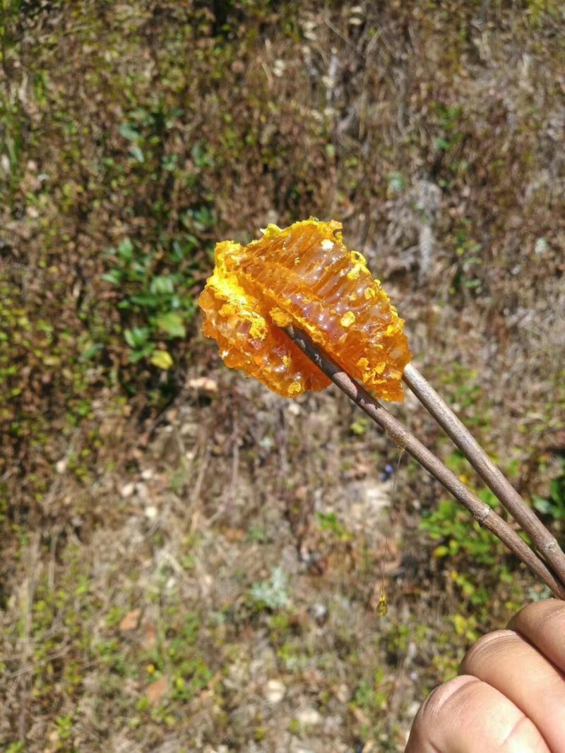 蜂蜜