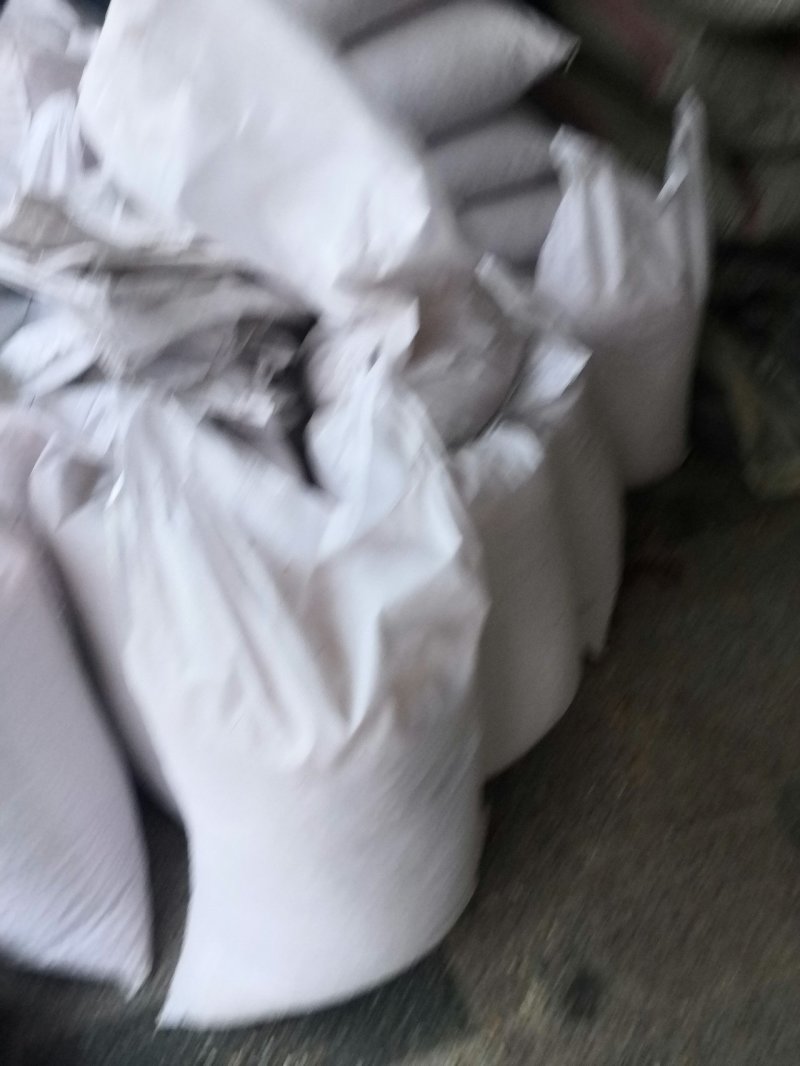 银杏药材果亳州银杏干果白果商品果假一赔三