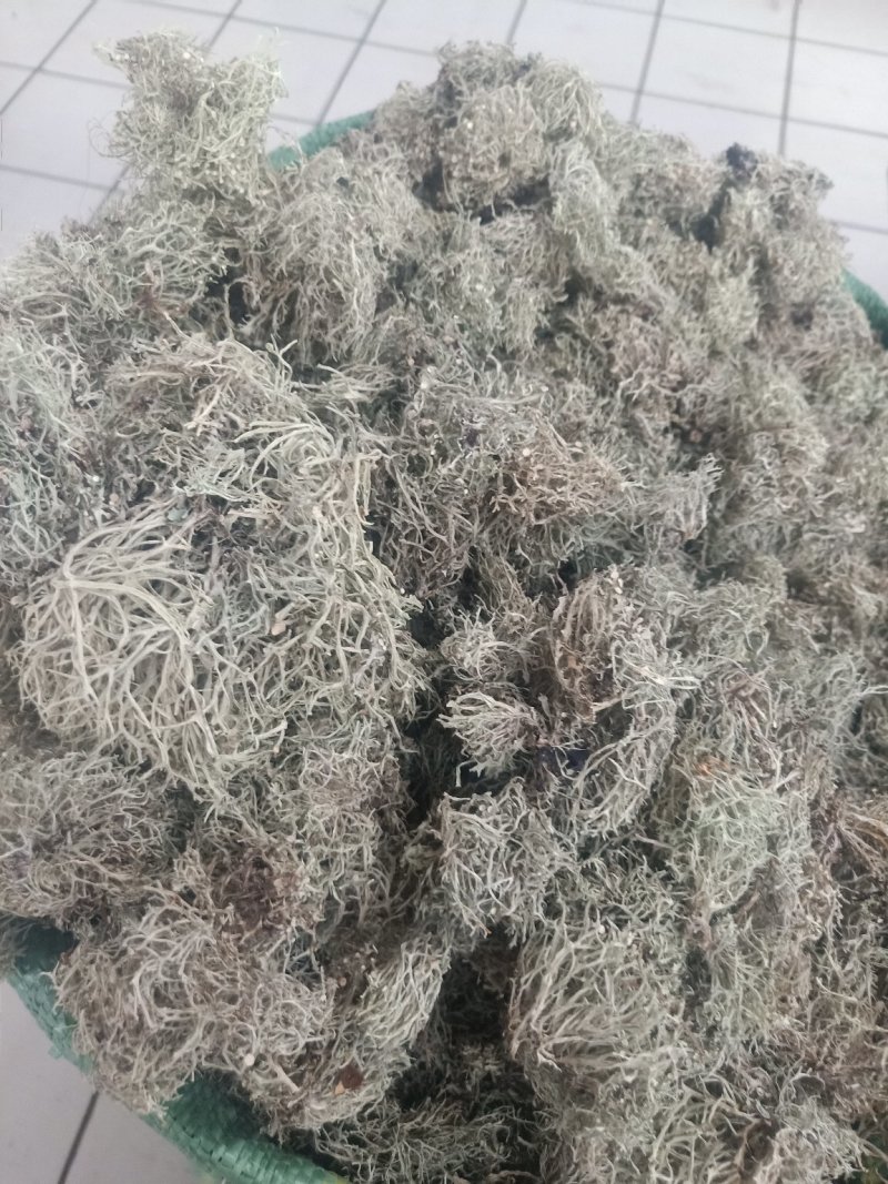 云南树花_大朵干净颜色靓