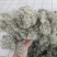 云南树花_大朵干净颜色靓