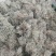 云南树花_大朵干净颜色靓