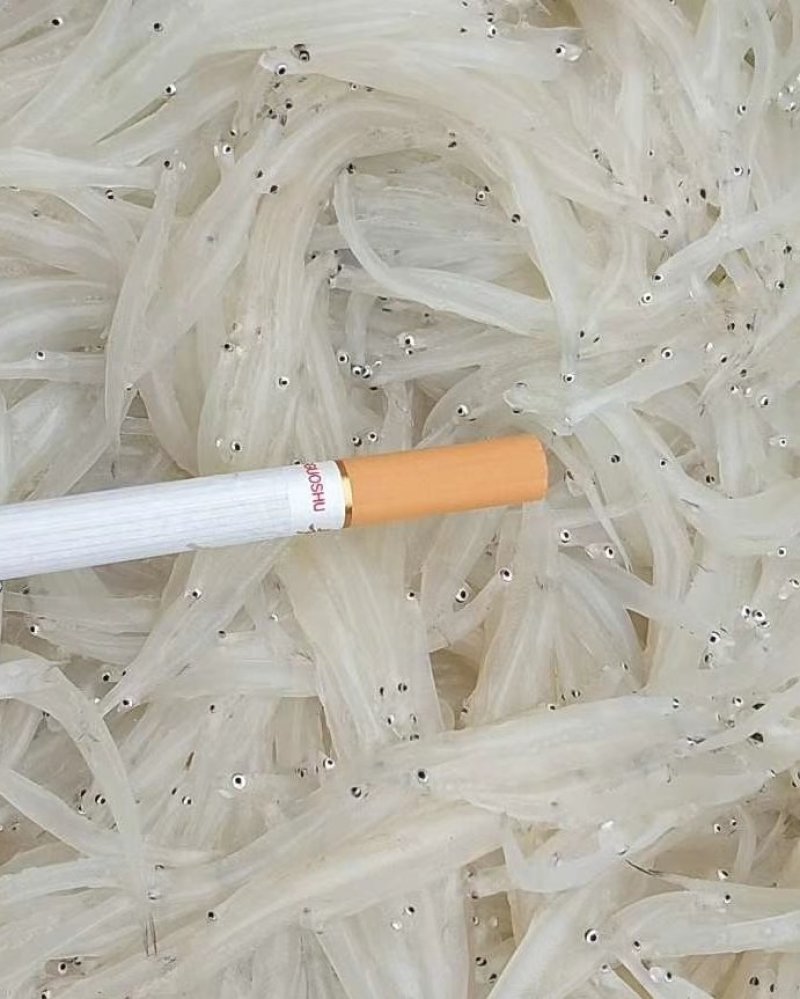 贵州北盘江纯生态淡水银鱼鲜货真空包装