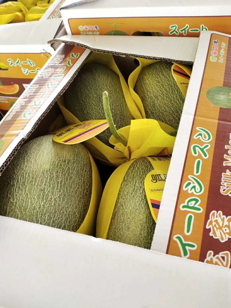 西周蜜产地直销专业收购团队