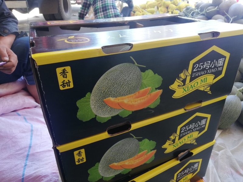 西周蜜产地直销专业收购团队