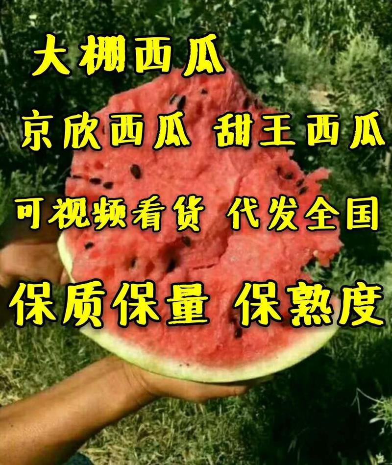 京欣西瓜产地直销价格低包熟包甜红瓤薄皮保质保量