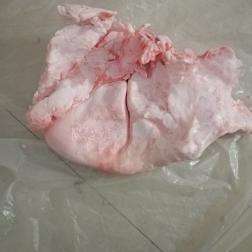 猪板油（广西南宁）
