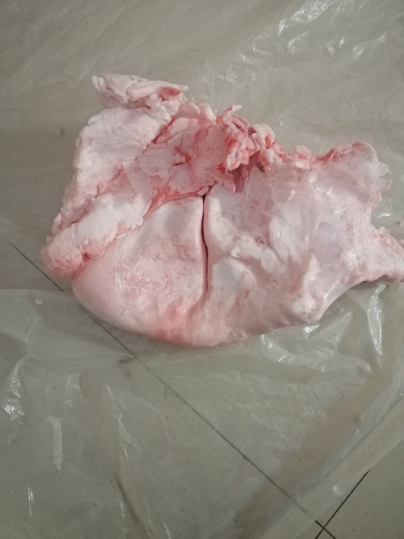 猪板油（广西南宁）