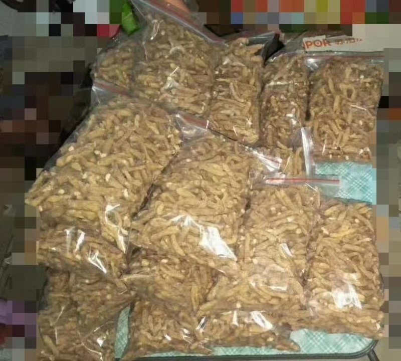 生玉竹，干玉竹条，干玉竹片