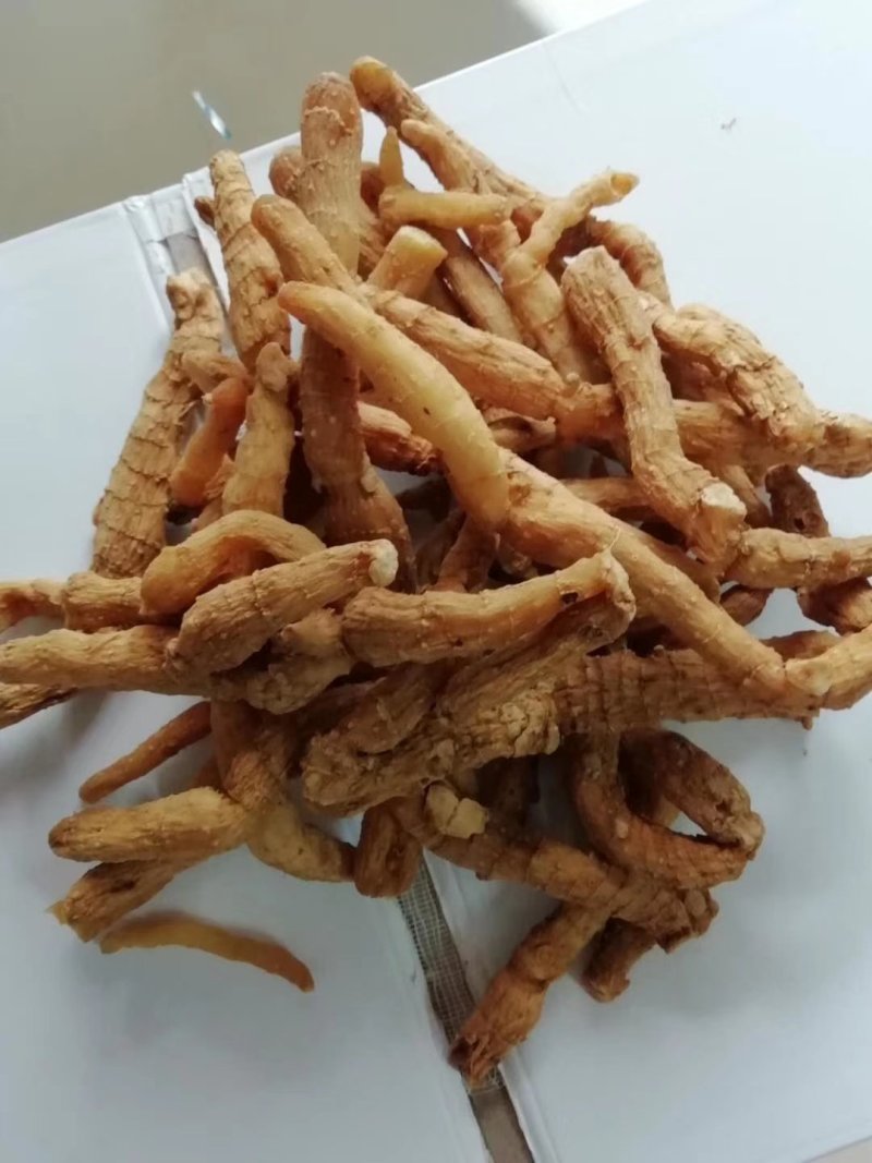生玉竹，干玉竹条，干玉竹片