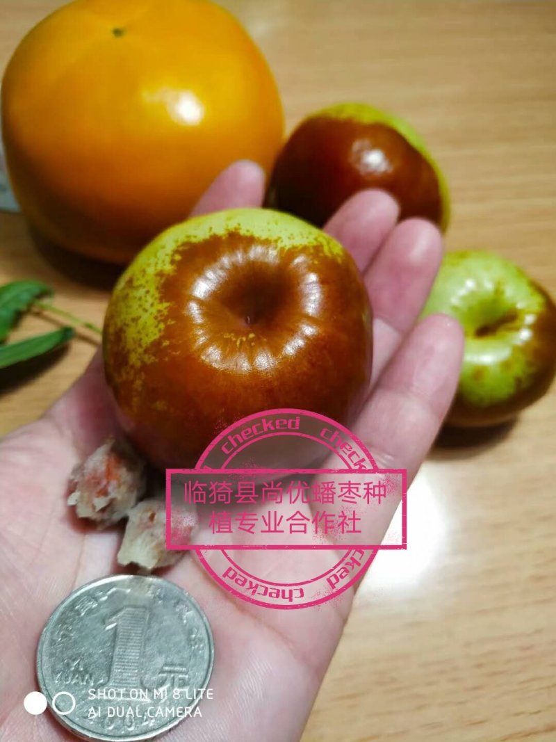 蟠枣蟠枣因像蟠桃而得名个大核小，口感酸甜酥脆，汁多无渣