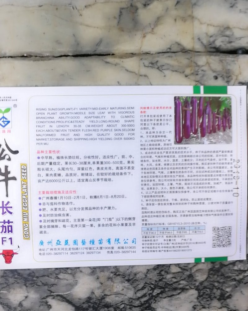 公牛长茄中早熟果实粗长硕大头尾均匀深紫红色表皮光亮。
