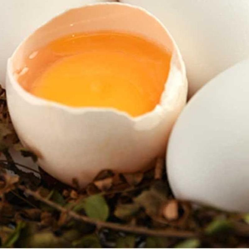 【破损包赔】当天蛋当天发正宗土鹅蛋新鲜散养大鹅蛋孕妇