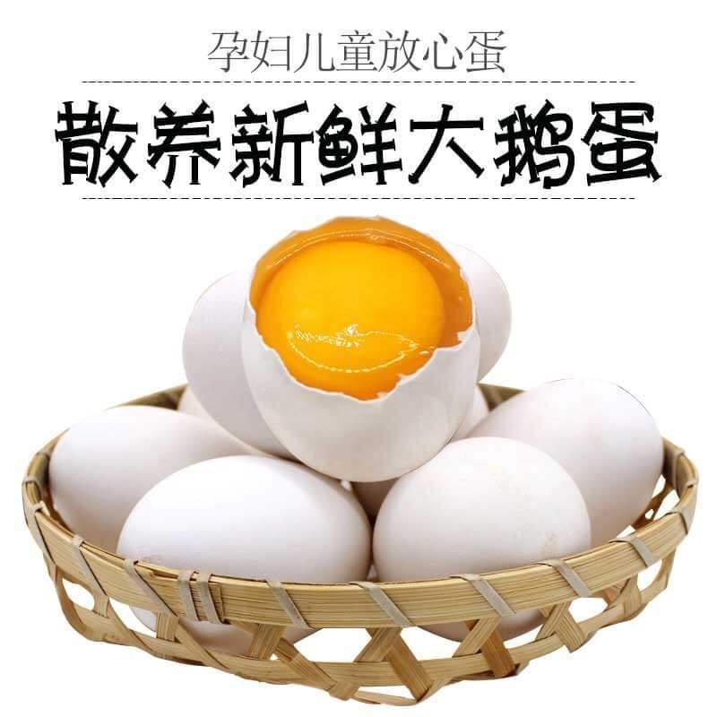 【破损包赔】当天蛋当天发正宗土鹅蛋新鲜散养大鹅蛋孕妇