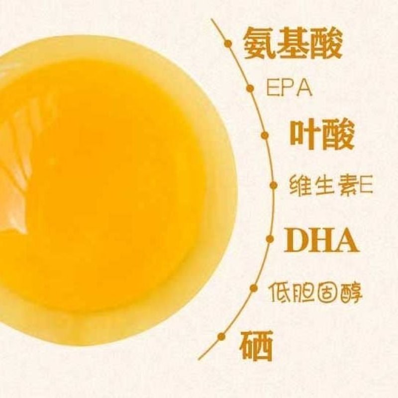 【破损包赔】当天蛋当天发正宗土鹅蛋新鲜散养大鹅蛋孕妇