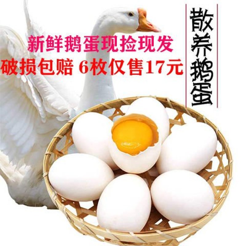 【破损包赔】当天蛋当天发正宗土鹅蛋新鲜散养大鹅蛋孕妇