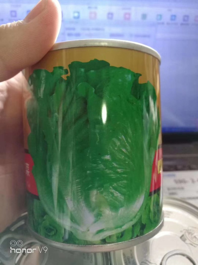 耐热耐抽苔生菜种子高品质高质量抗性好抗病强品质好