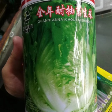 耐热耐抽苔生菜种子高品质高质量抗性好抗病强品质好