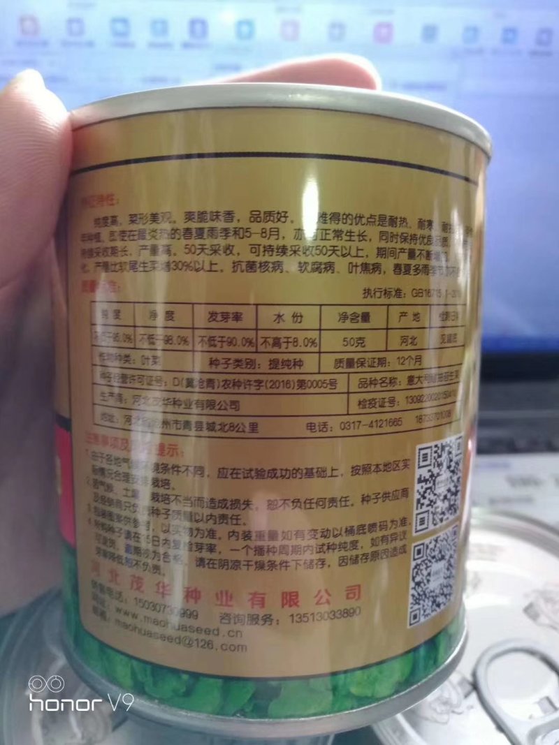 耐热耐抽苔生菜种子高品质高质量抗性好抗病强品质好