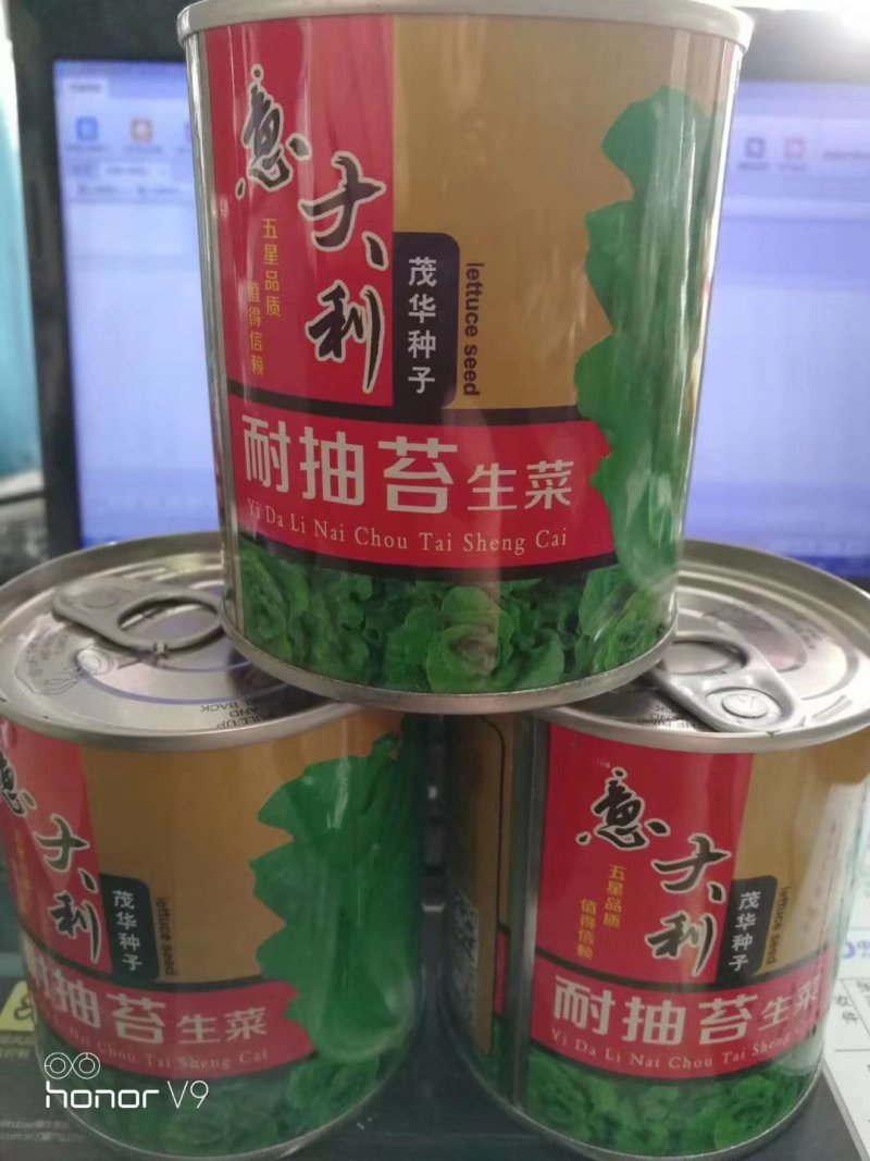 耐热耐抽苔生菜种子高品质高质量抗性好抗病强品质好