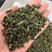 大量批发茶叶安溪铁观音乌龙茶正宗福建产浓香型商用原料茶
