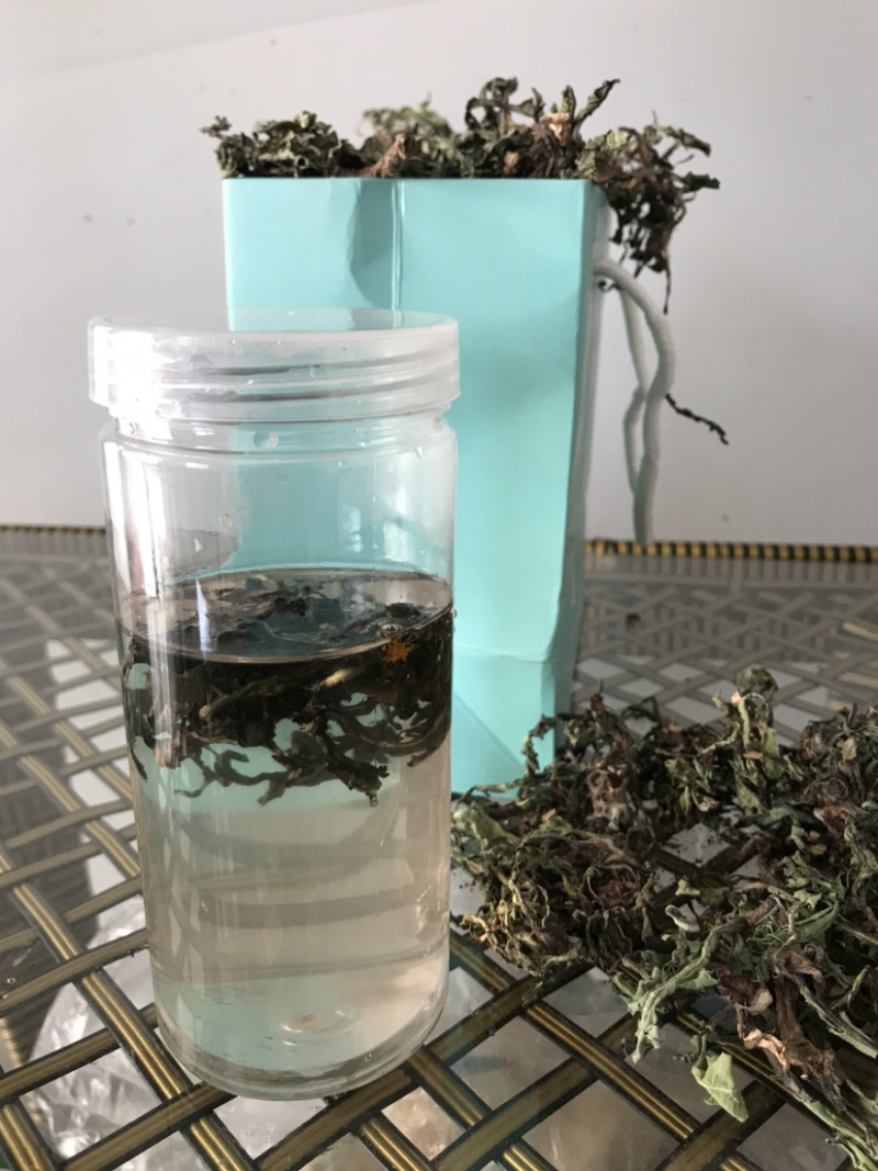 干蒲公英全草